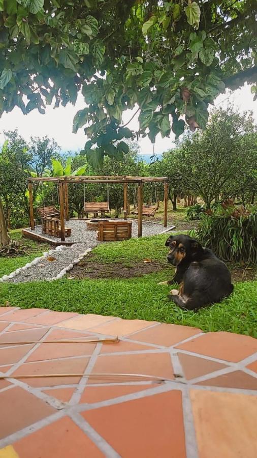 Finca Hotel La Bonita By La Macorina 金巴亚 外观 照片